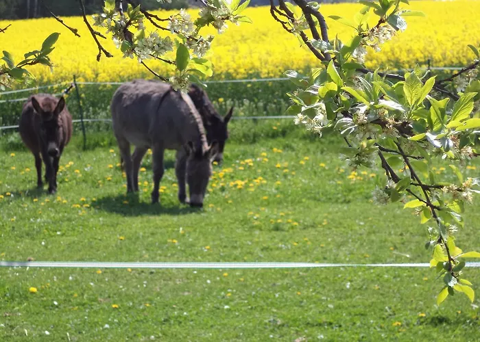 Apartamento Scheidlerhof *